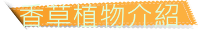 香草植物介紹